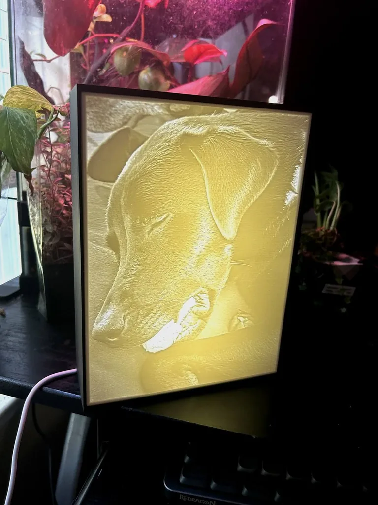 Illuminated custom dog lithophane in a dark frame